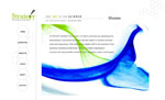 Website Design